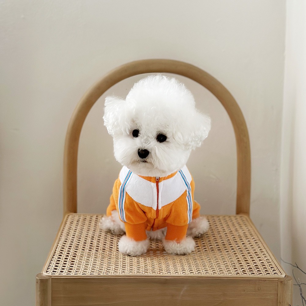 [재입고]Tennis Dog Sweatsuit 테니스독 스웻수트_ Orange